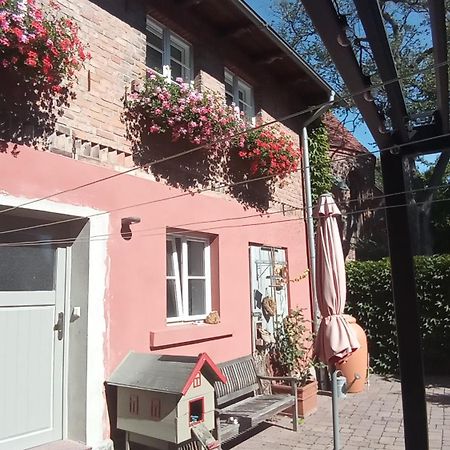 Ferienhaus In Der Historischen Altstadt Von Angermuende Angermunde Luaran gambar